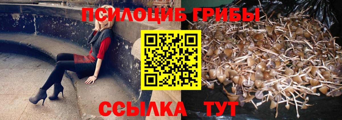 Галлюциногенные грибы MAGIC MUSHROOMS  Псилоцибиновые грибы MAGIC MUSHROOMS  Рыбинск  Вход с VPN 