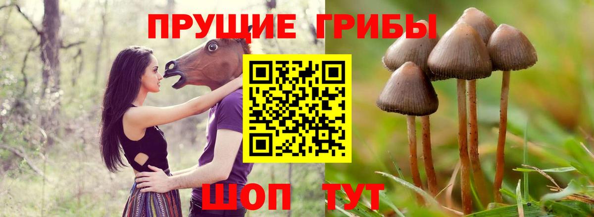 Галлюциногенные грибы MAGIC MUSHROOMS Рыбинск